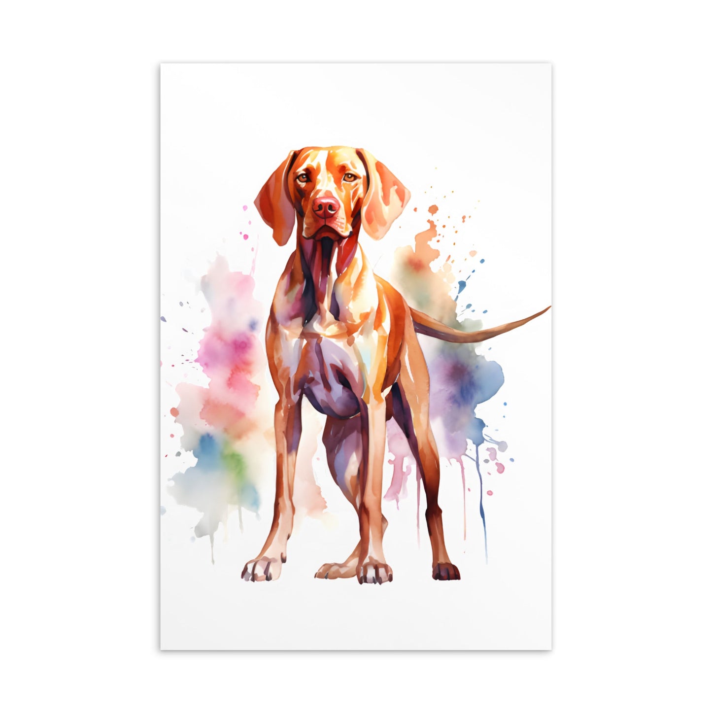 Vizsla post kaarten bundel