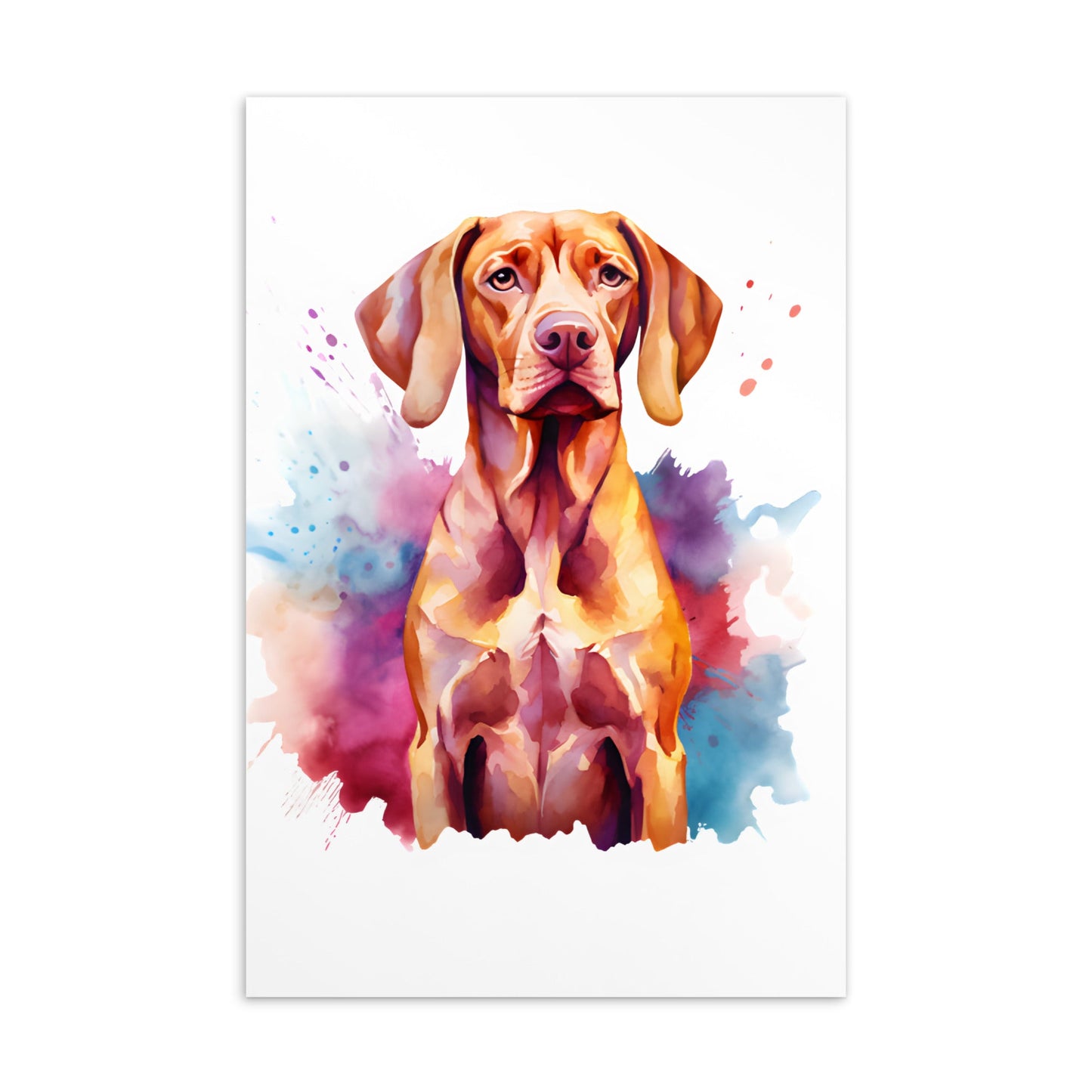 Vizsla post kaarten bundel