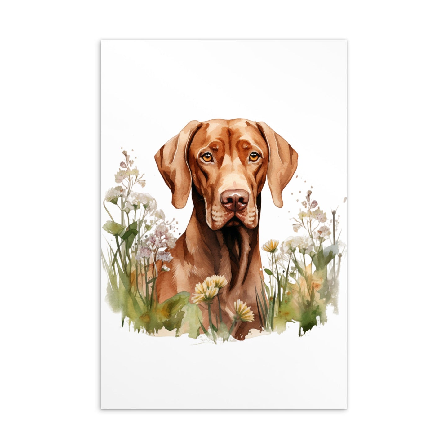Vizsla post kaarten bundel