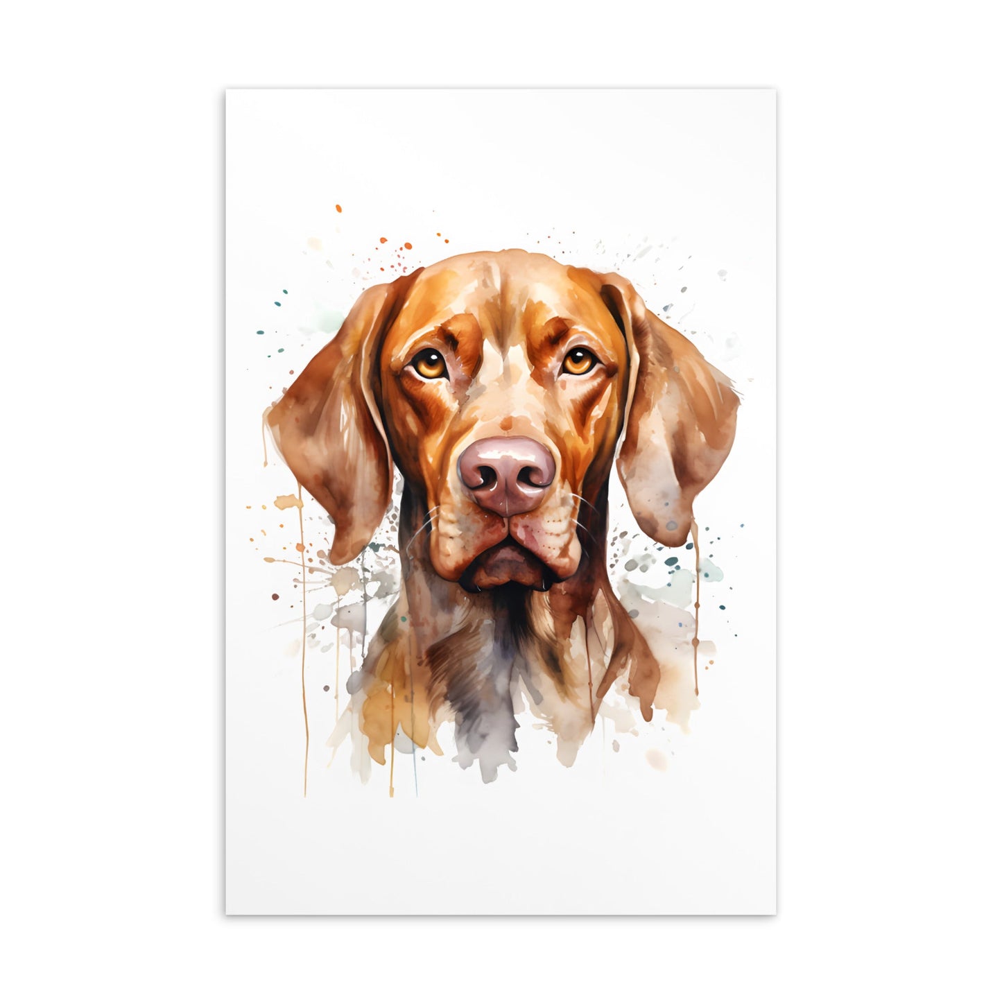 Vizsla post kaarten bundel