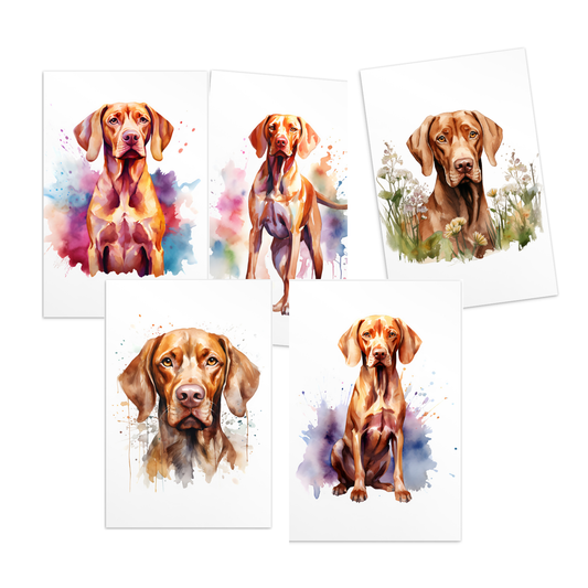 Vizsla post kaarten bundel